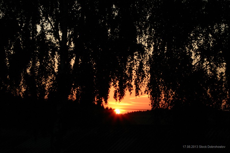 2013-08-17-Stock Dobrohostov_6